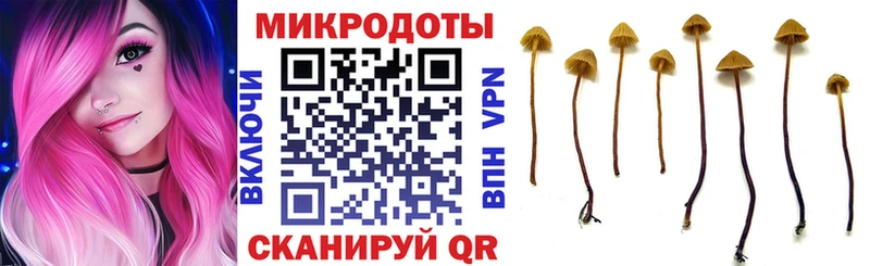 Галлюциногенные грибы Cubensis  Купить  Комсомольск 